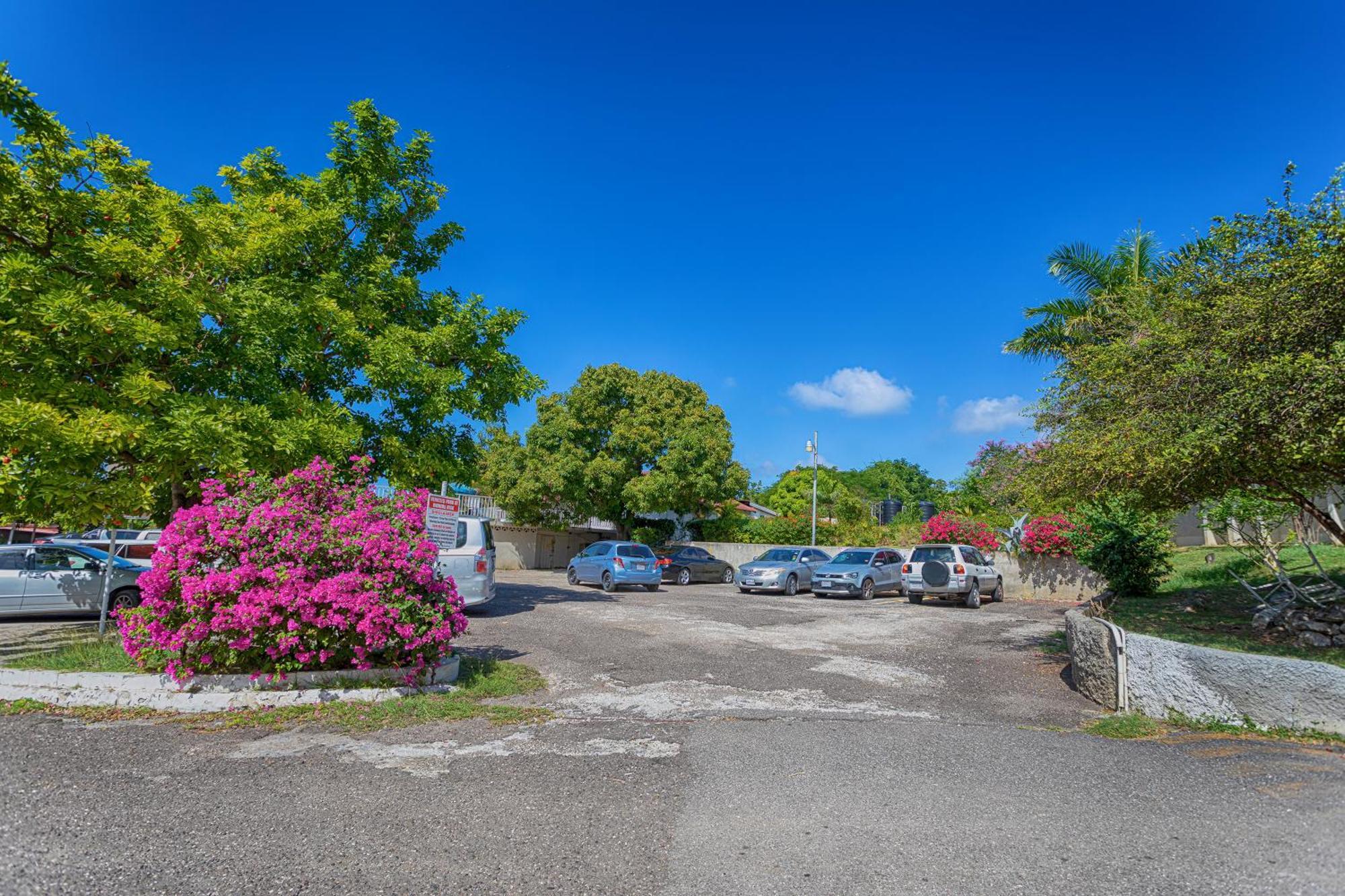 Montego Bay Club Apartments Dış mekan fotoğraf